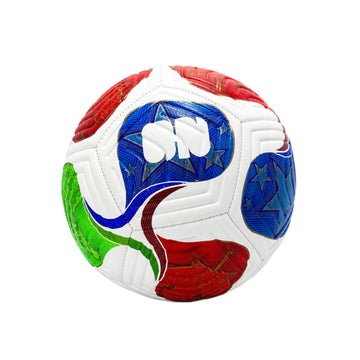 Balón del Mundial